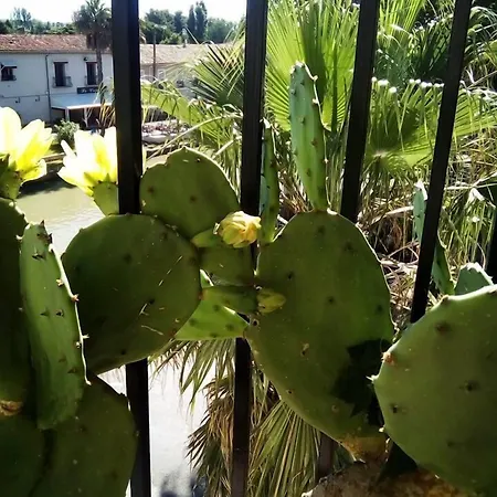 Maison Du Canal 2* Villeneuve-lès-Béziers
